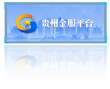 贵州金服平台